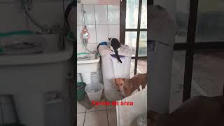 5 de julho de 2026