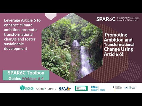 Webinar #4: Promoting Ambition and Transformational Change Using Article 6