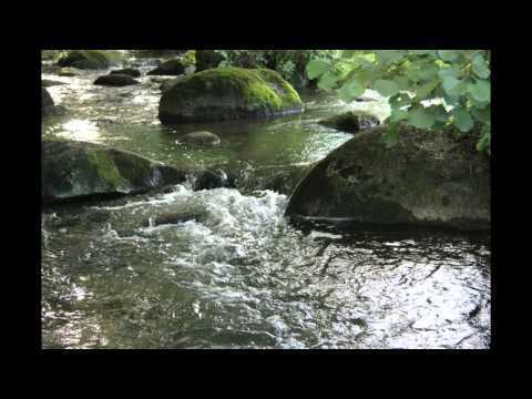 Relaxing sounds of nature - Running water stream 30 min in Sweden