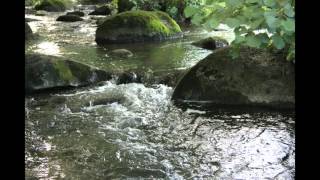 Relaxing sounds of nature - Running water stream 30 min in Sweden