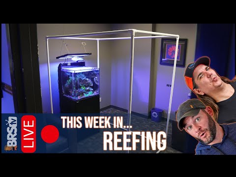 Ryan's 360 Dream Tank is Coming Down?!?! : This Week In Reefing