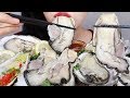 ASMR GIANT RAW OYSTER MUKBANG FRESH SEAFOOD NO TALKING EATING SOUNDS KOREAN