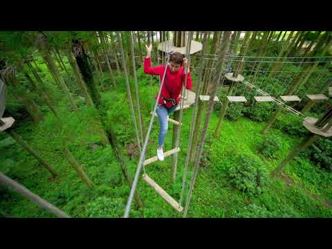 フォレストアドベンチャー糸島＠福岡県糸島市【福岡県観光紹介ショートムービー】