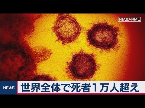 macOS: 新しいウイルスがすべてのデータを読み取ります – 言語設定によりウイルスから保護されます