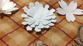 干支チャンネル お花コレクションさんとコラボ！視聴者参加人狼ゲーム（2ターン目）
