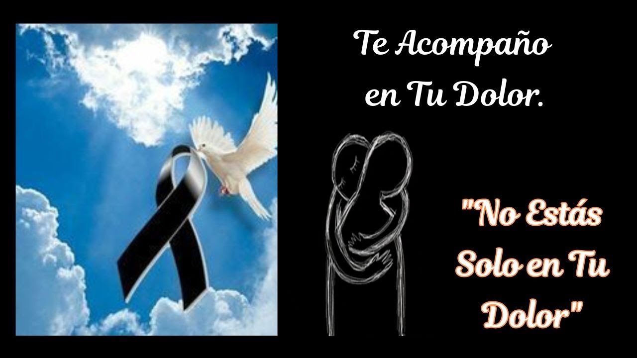 Te Acompaño en Tu Dolor | Mensaje de Condolencias por la Pérdida de un Ser Querido ✝️🕊️