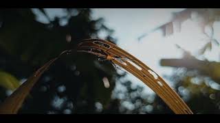 Download lagu CINEMATIC ALAM PAGI HARI | STORY WA 30 DETIK | CINEMATIC 30 DETIK mp3 Download lagu CINEMATIC ALAM PAGI HARI | STORY WA 30 DETIK | CINEMATIC 30 DETIK mp3