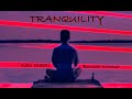 KATO HIDEKI • BONNER KRAMER - "TRANQUILITY: (Official Shimmy-Disc Video)