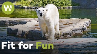 How Zoos Keep Their Animals Smart, Active, and Happy! | Zoo Life (2/2)