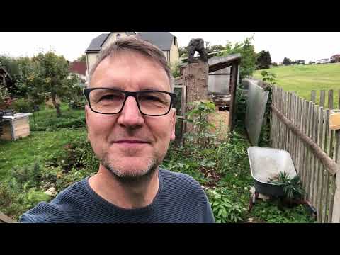 2022 Umzug der dicken Weißbirke in den Kleinwald