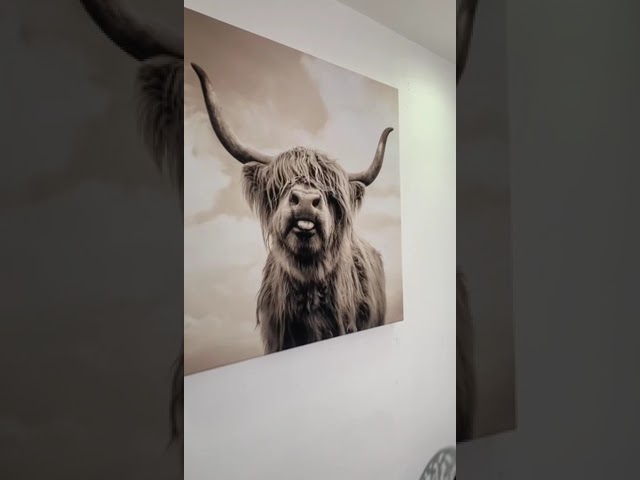 Vídeo relacionado con islandburner Cuadro en Lienzo Grupo de Vikingos Nadando en Drakkar con Las montañas al Fondo en el mar Cuadros Modernos Decoracion Impresión Salon