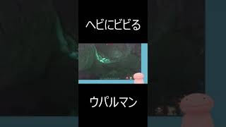 ヘビにビビるウパルマン #vtuber　＃ARK
