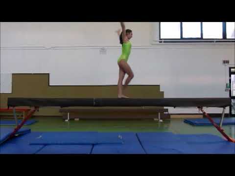 Ginnastica ARTISTICA Provagliese