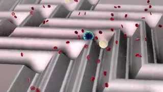 preview picture of video 'Animation: Circulating Tumor Cell Capture Device'