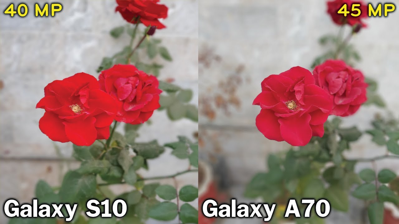 Samsung Galaxy S10 vs Samsung Galaxy A70 Camera Test! 😱