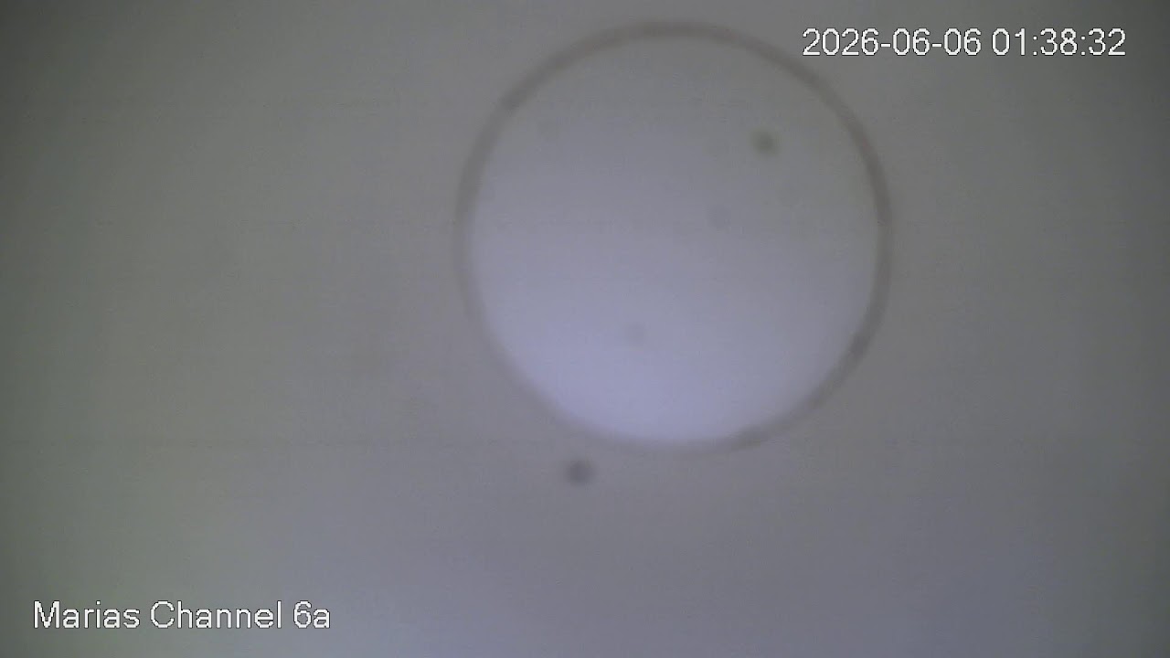 Live webcam view of Maria's Store Other Angle, Agdao Market