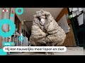 Verdwaald schaap heeft vacht van wel 35 kilo