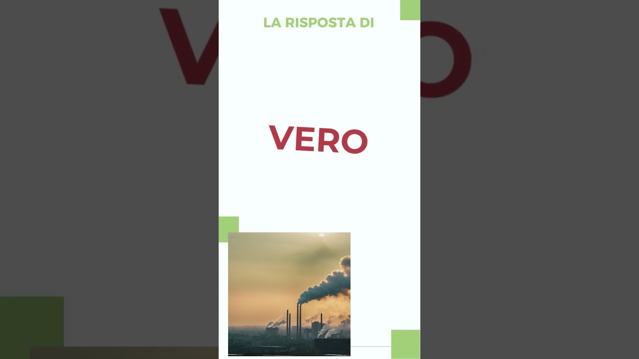 17 - I cambiamenti climatici promuovono un aumento delle allergie respiratorie? - My Special Doctor