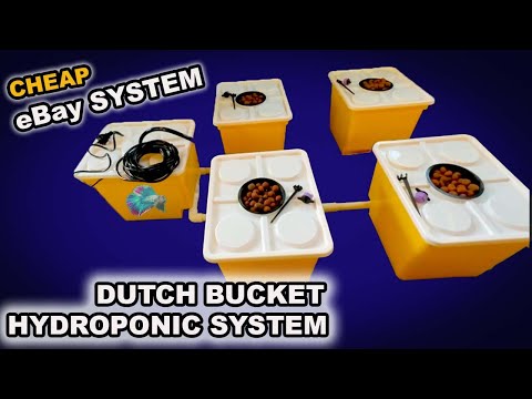 EBAY DUTCH BUCKET HYDROPONICS SETUP! IS IT ANY GOOD?