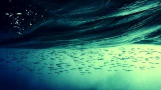 Marvin Ayres - Wave