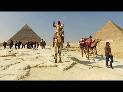 Biowaffen in der Antike