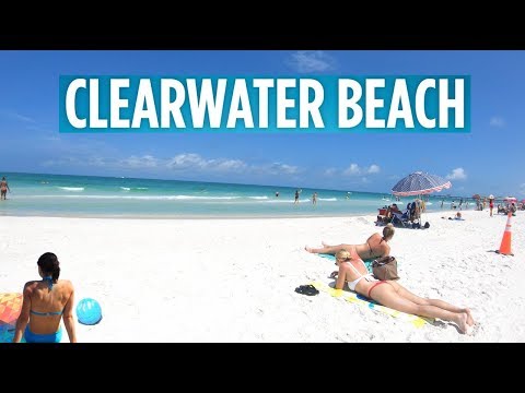 Clearwater Beach Florida June 2020 (Walk On The Beach) [⁴ᴷ⁶⁰]