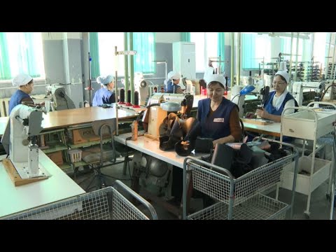 Өкесі қайын енесін сиқырлайды Өз анасын ұрады