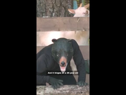 Imagine showing up to work and finding out you're the bear