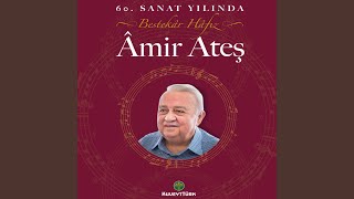 Seni Ben Unutmak İstemedim ki