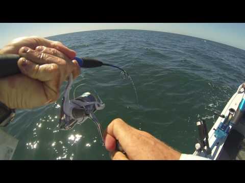 Taking a 4m tinny 50km offshore..