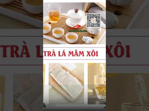 Trà lá mâm xôi túi lọc, trà mâm xôi rừng, hỗ trợ làm dày niên mạc, ivf, đào thải dịch, điều kinh