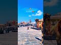 Jay Dwarkadhish Status Dwarka New Status Of Viral Sorts Subscribe