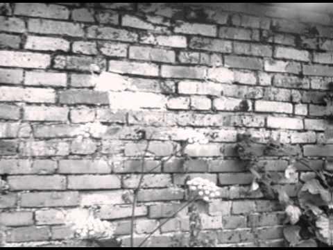 Обыкновенный фашизм - Trailer