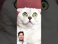 #funny #cat #memes #pets #animals #cats #lifeisbutadream #funnyanimal #whowillbemylifepartnerta