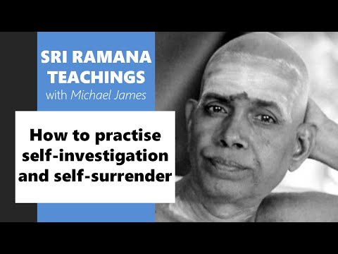 2022-02-16 Michael answers questions about how to practise self-investigation and self-surrender