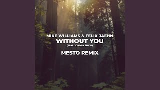 Without You (Mesto Remix)