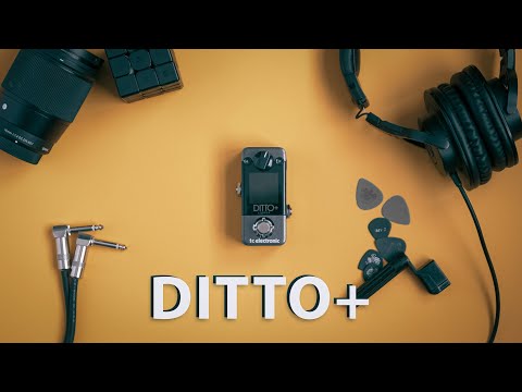 Pedal de Guitarra Ditto+ Looper da TC Electronic