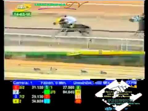 LA RINCONADA 1 CARRERA, DOMINGO 14 DE FEBRERO DEL 2016