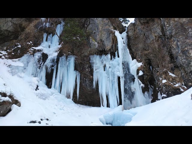 株式会社日光自然博物館