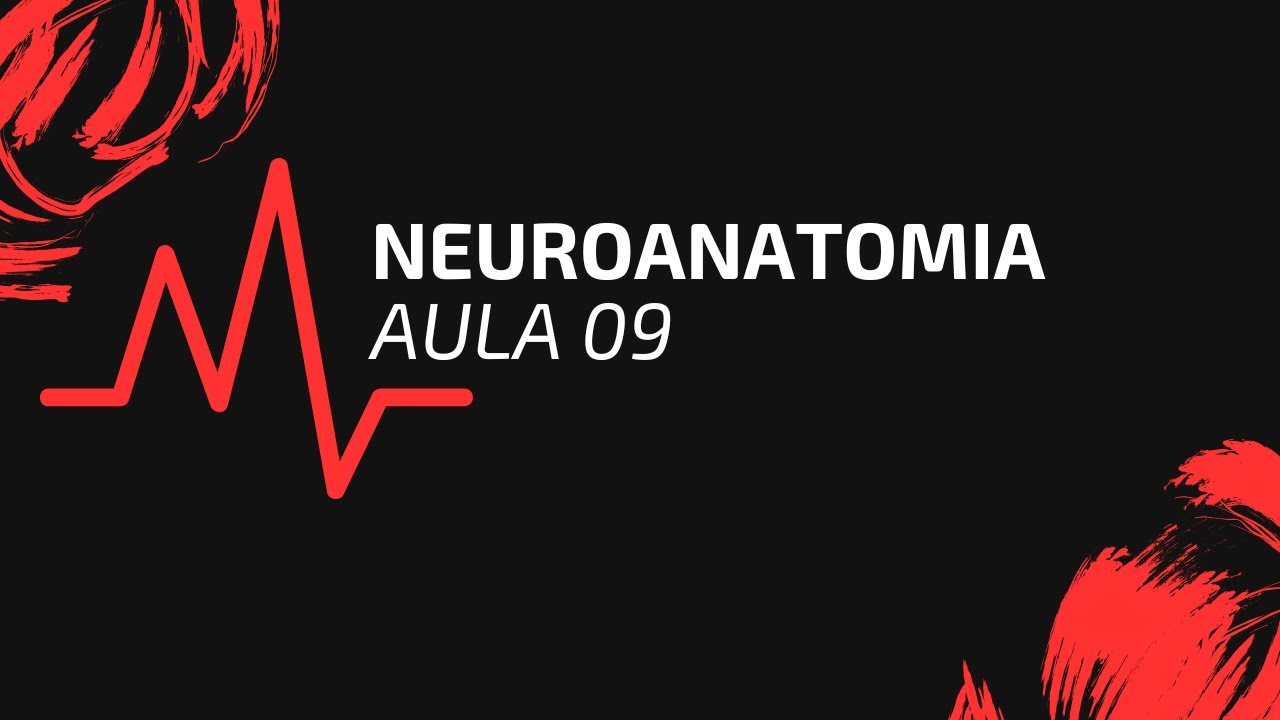 NEUROANATOMIA | AULA 09 | BULBO - SUBSTÂNCIA BRANCA + SÍNDROMES CLÍNICAS BULBARES