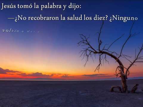 Evangelio del Miércoles 12 de Noviembre del 2014