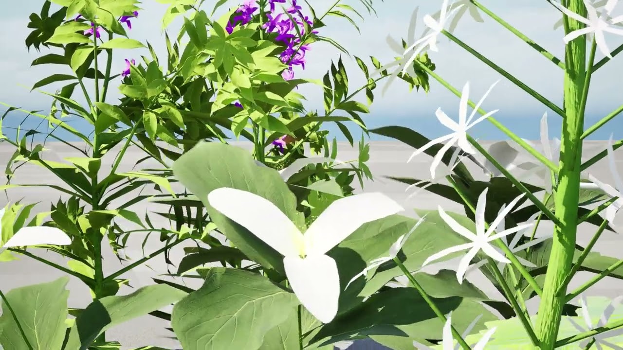 North American Wildflowers 02 3D Model