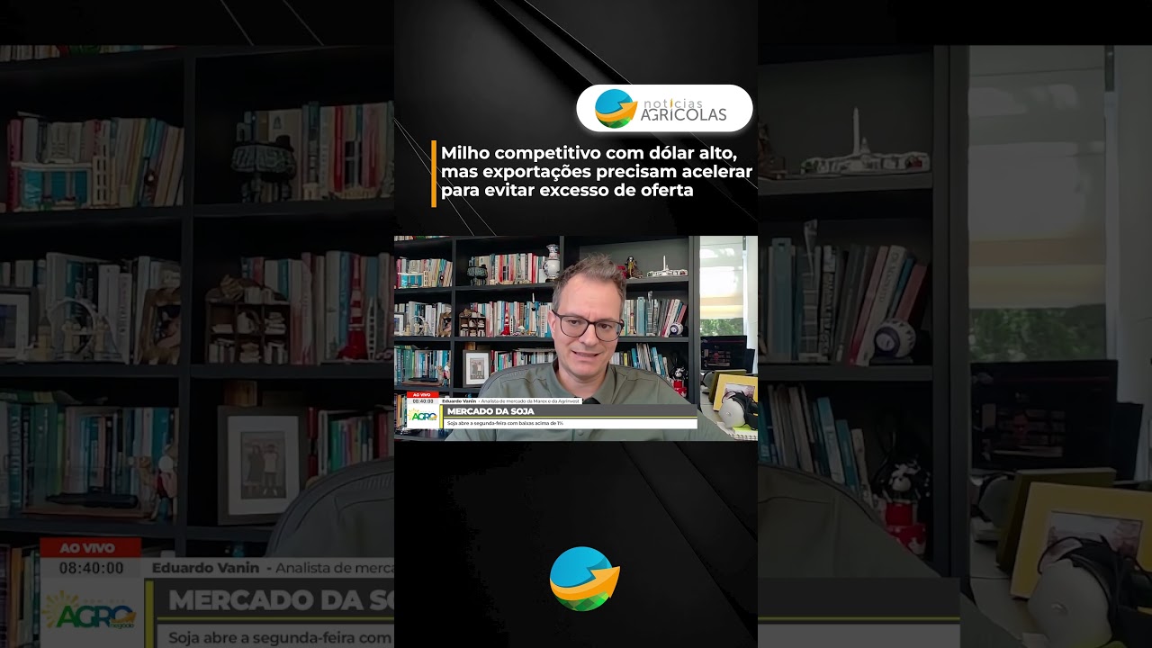 Milho competitivo com dólar alto, mas exportações precisam acelerar para evitar excesso de oferta