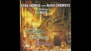 Ital Horns meets Bush Chemists feat  Prince Iquela  - History Mystery Destiny + Dubwise Destiny