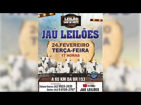 LEILÃO GADO DE CORTE  - JAU LEILÕES  - JAU DO TOCANTINS  -24/ 02/ 2026