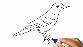 How to Draw Mocking Bird Easy Step by Step Drawing Animals Easy