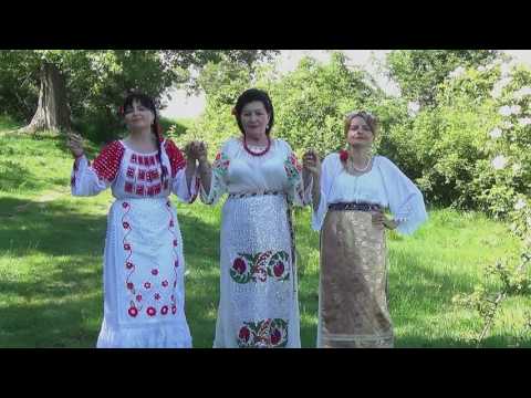 Pavel Andreea Mariana -  Ochi frumosi ca doua stele