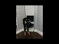 FREE Shuno Wick 9BMEECHIE Type Beat Freddy Vs Jason