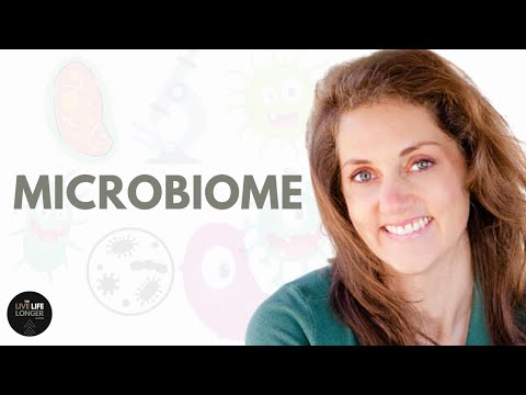 How Bacteria Rule Over Your Body – The Microbiome