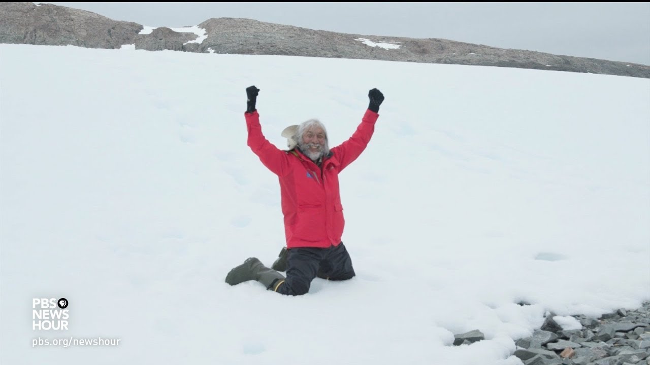 Are there any negative effects of tourism to Antarctica?
